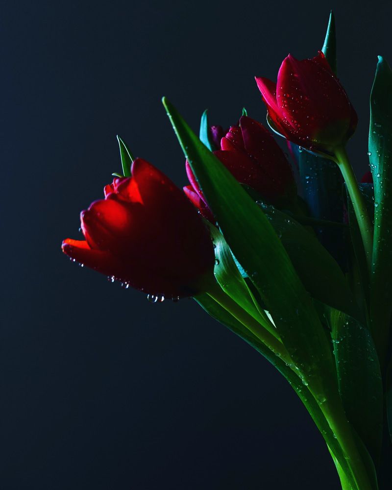 Photograph by Надежда