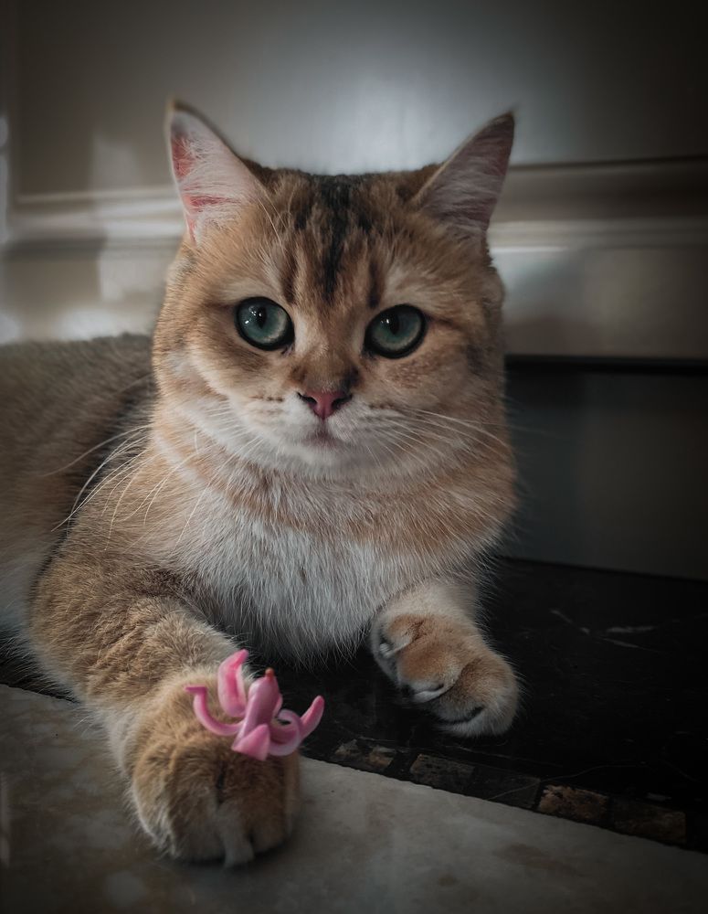 Photograph by Надежда