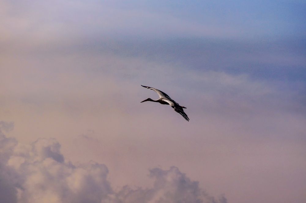 Photograph by Татьяна Шандромайло