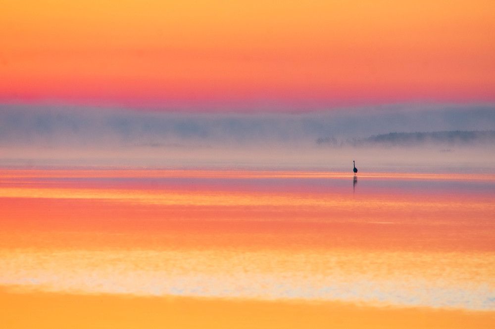 Photograph by MARCELO GIORGI