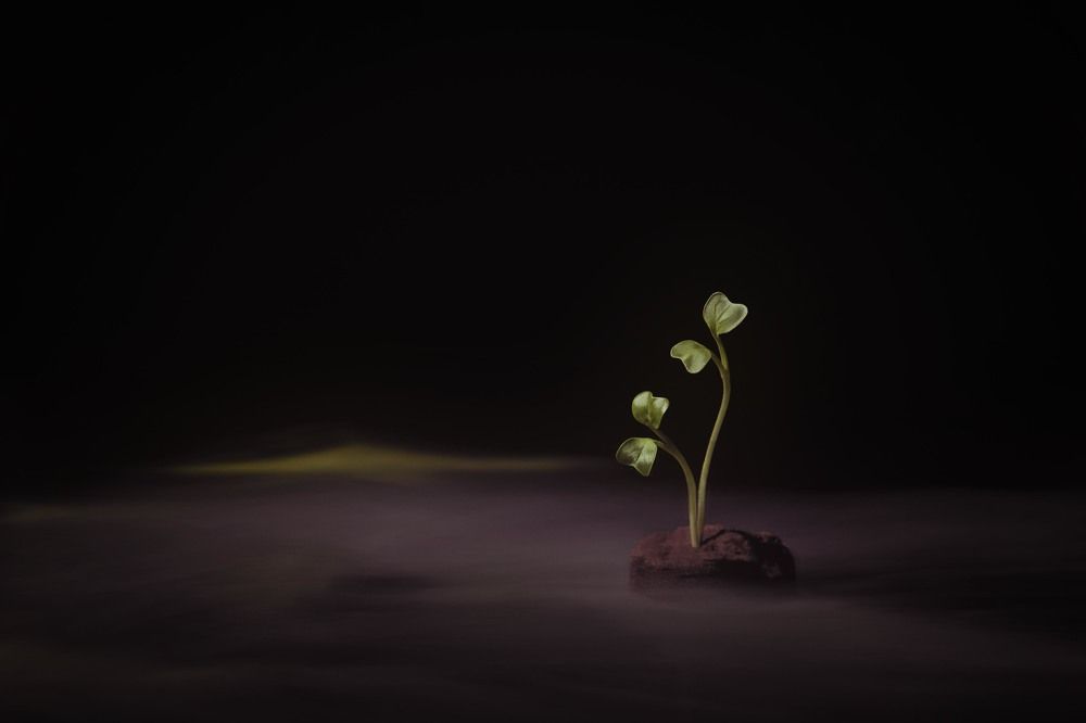 Photograph by Даниил Павленко