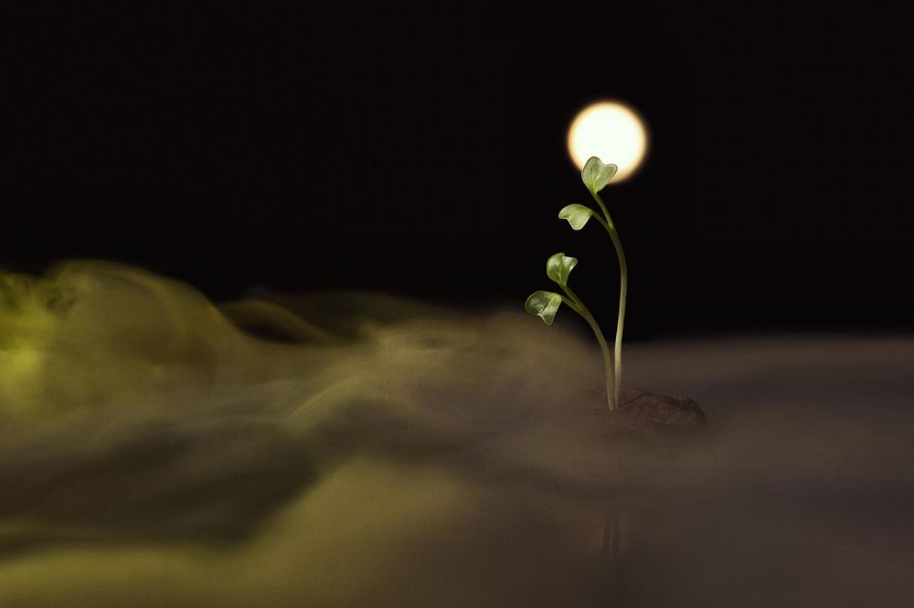 Photograph by Даниил Павленко