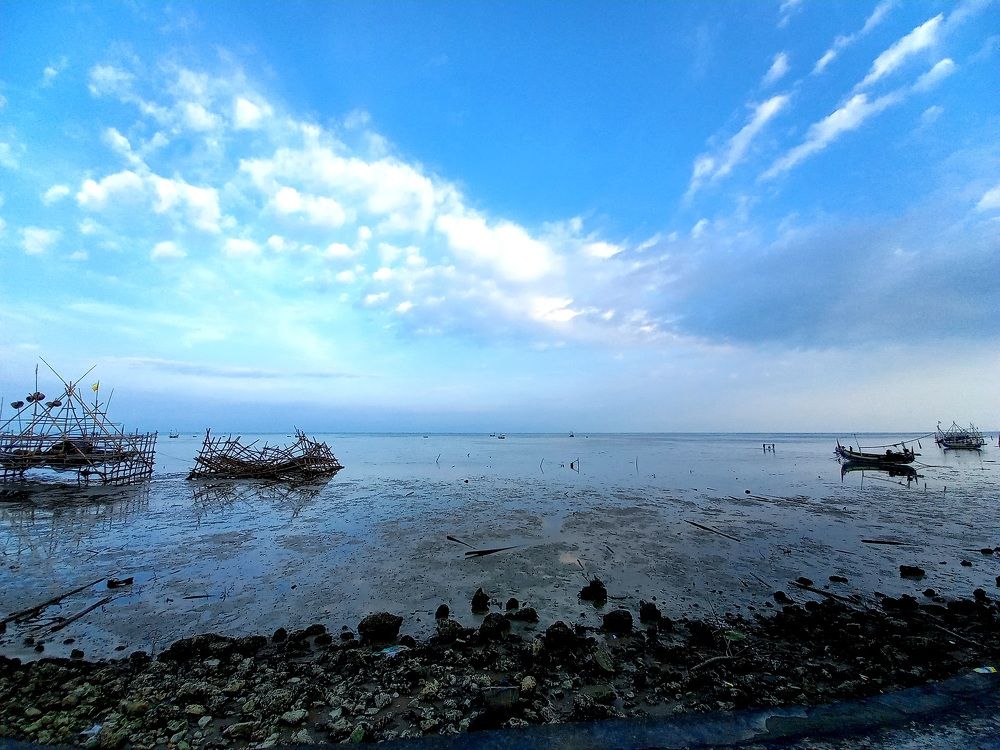 Photo #7445784