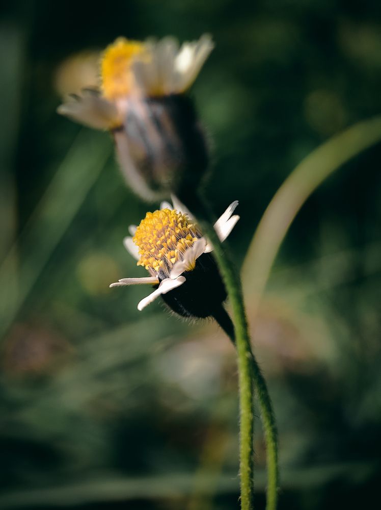 Photograph by Ashiq P F Mohammed