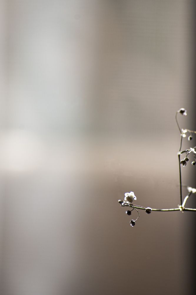 Photograph by Moataz Helmy