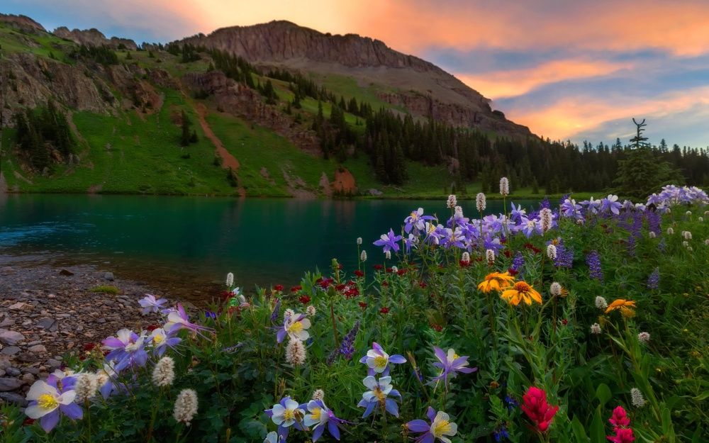 Photograph by Олеся Жукова