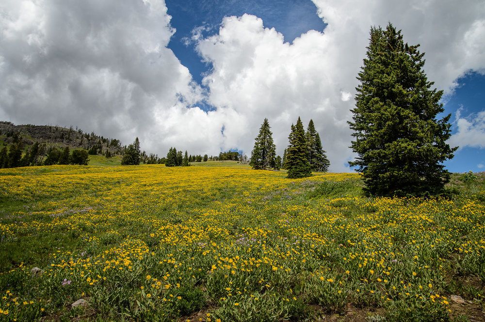 Photograph by Олеся Жукова