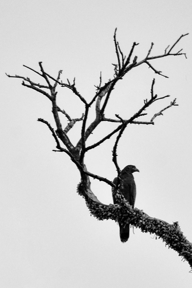 Photograph by LAHIRU GURUGE