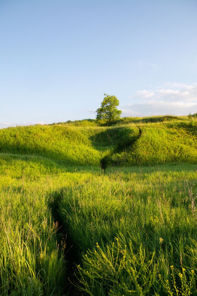 Photograph by Альбина Баташова