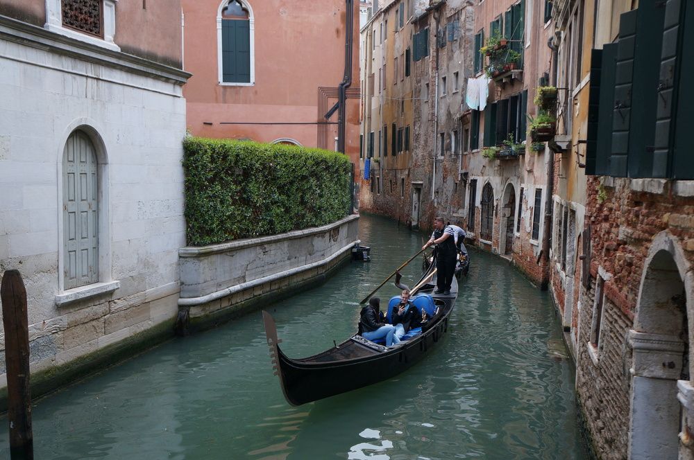 Photograph by Алёна Савина