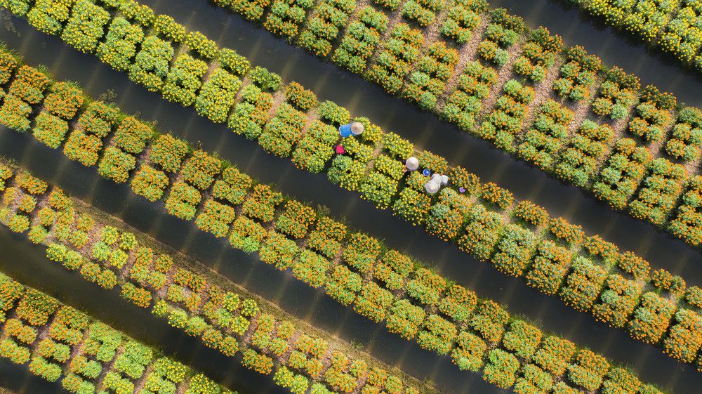 Photograph by Ha Cao Thi Thanh