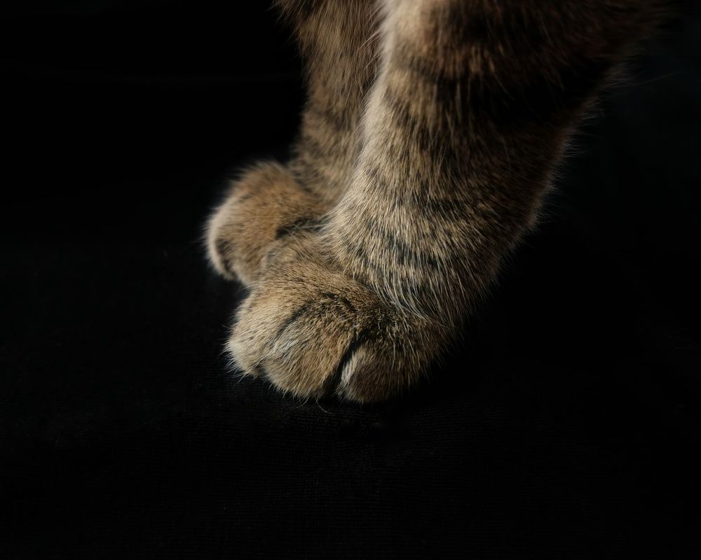 Photograph by Инна Смолякова