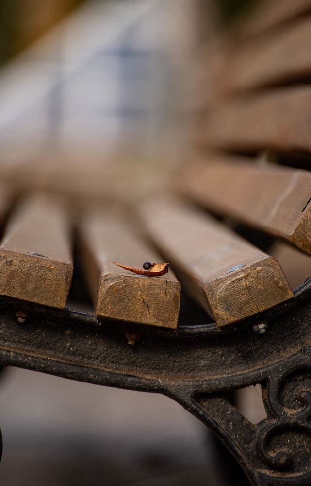 Photograph by Андрей Перец