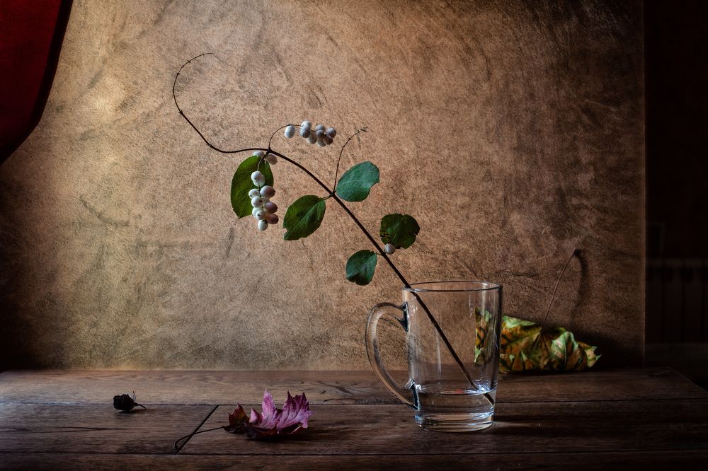 Photograph by Татьяна Макотра