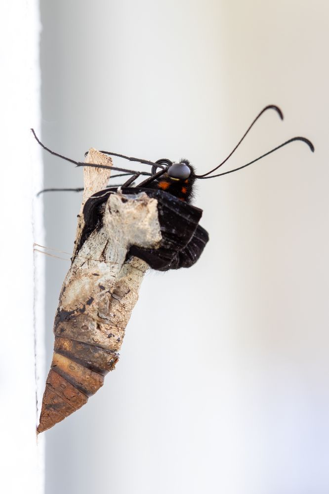 Photograph by LIZY BARBA