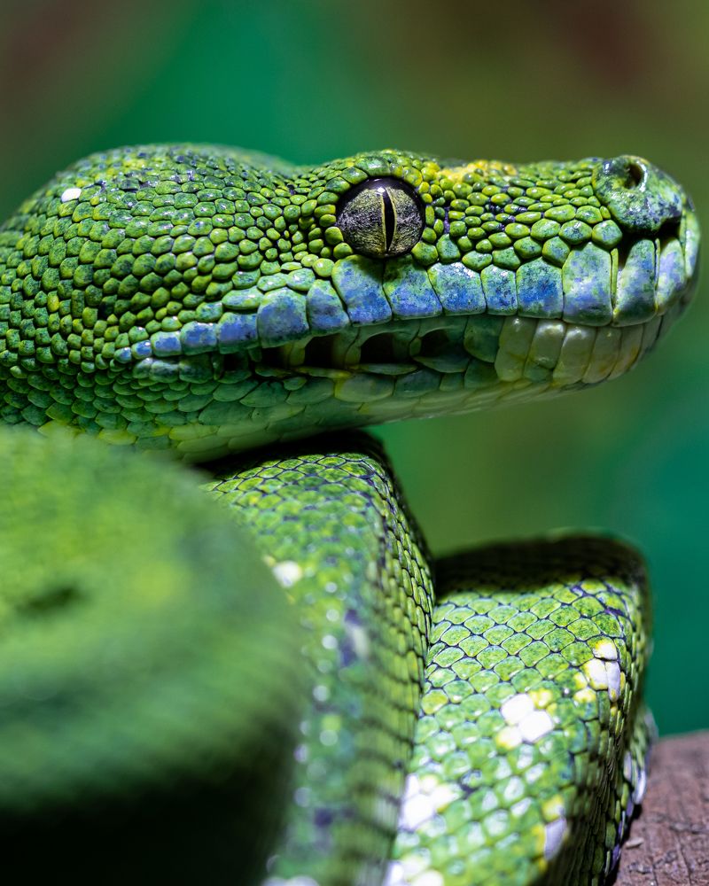 LOS COLORES DE LA NATURALEZA