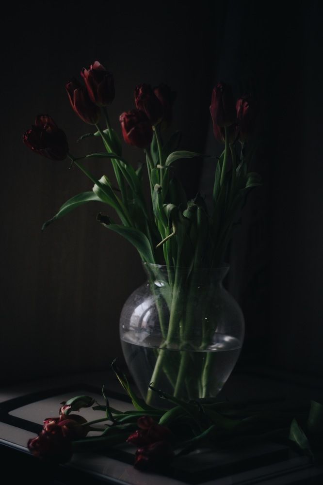 Фотография автора Екатерина Устинкина