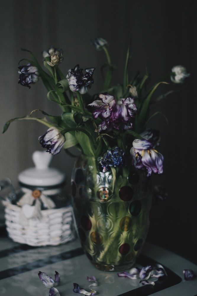 Фотография автора Екатерина Устинкина