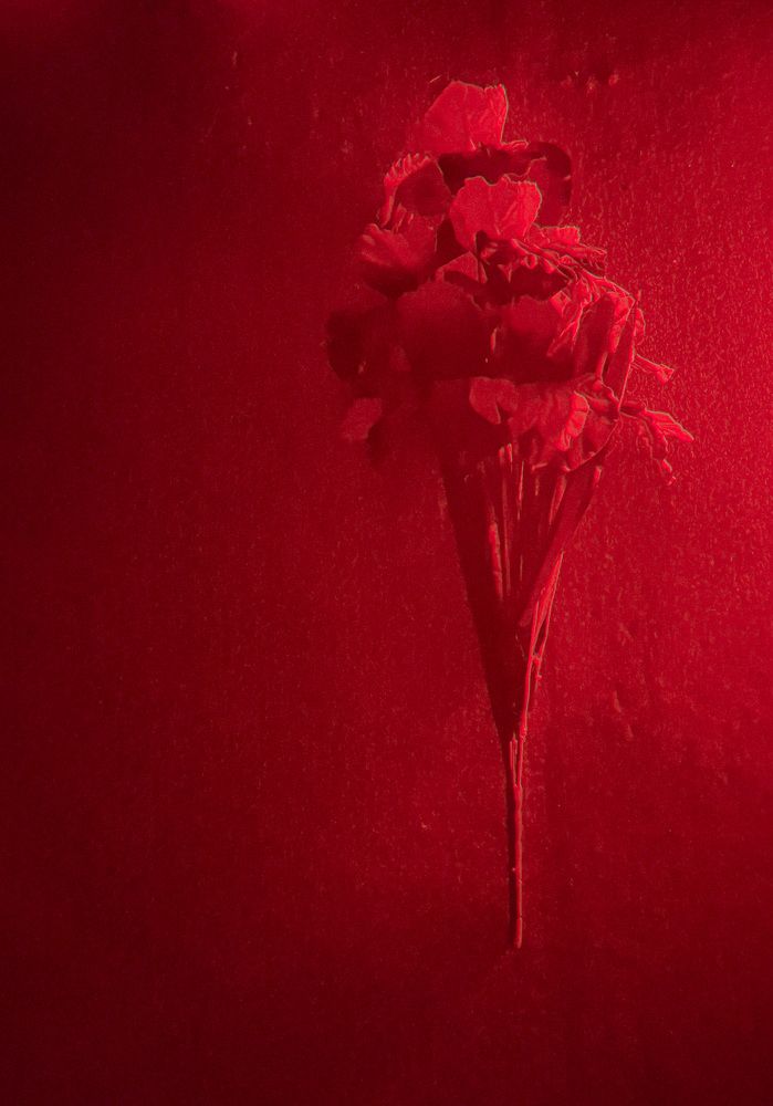 Photograph by Анна