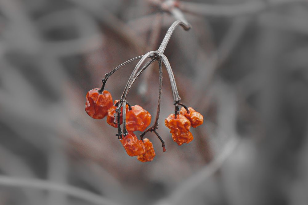 Photograph by Дарья Погонцева