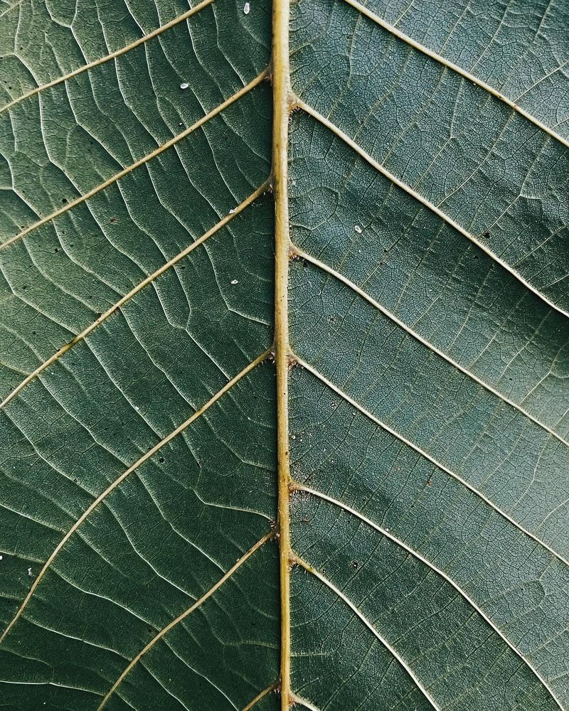 Фотография автора Oxana Yurasova