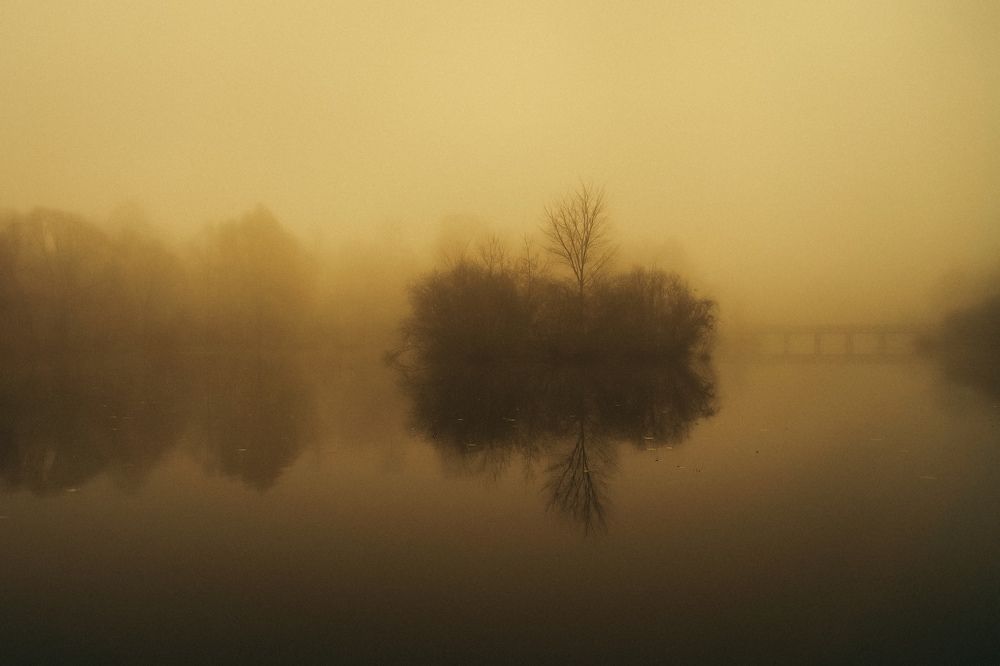 Photograph by Алексей Шевченко