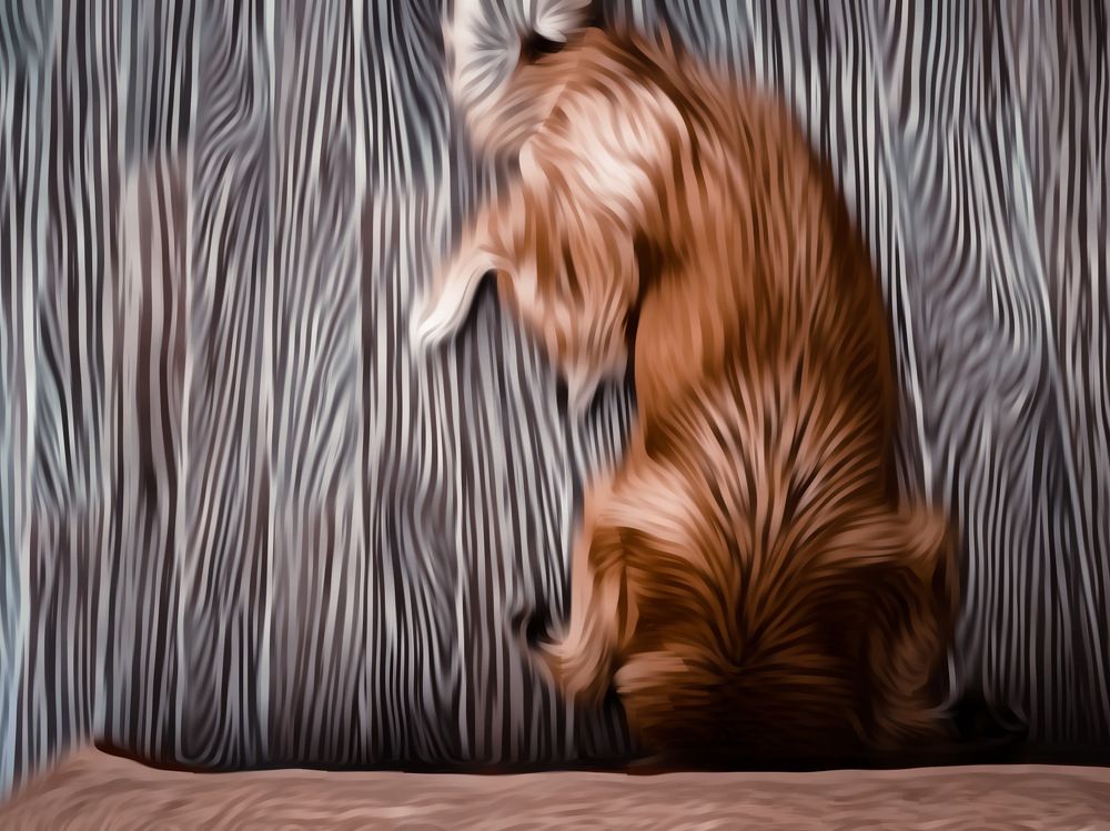 Photograph by Марина Урусова