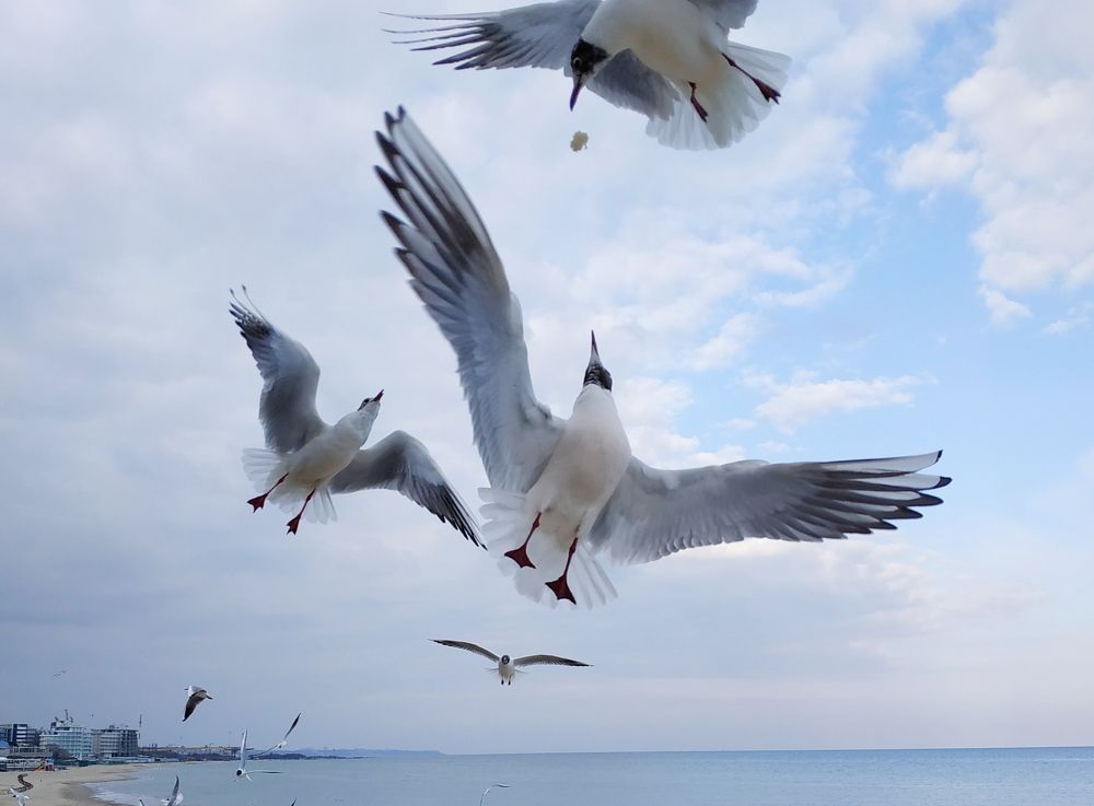 Photograph by Максим Антошкин