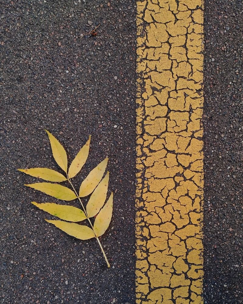 Ограничения?