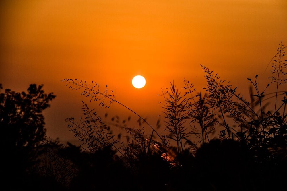 Photograph by Thinley Jamtsho