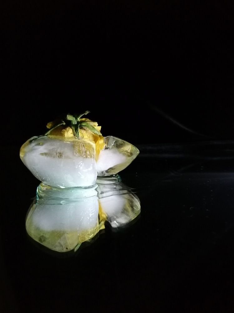 Photograph by Елена Швецова