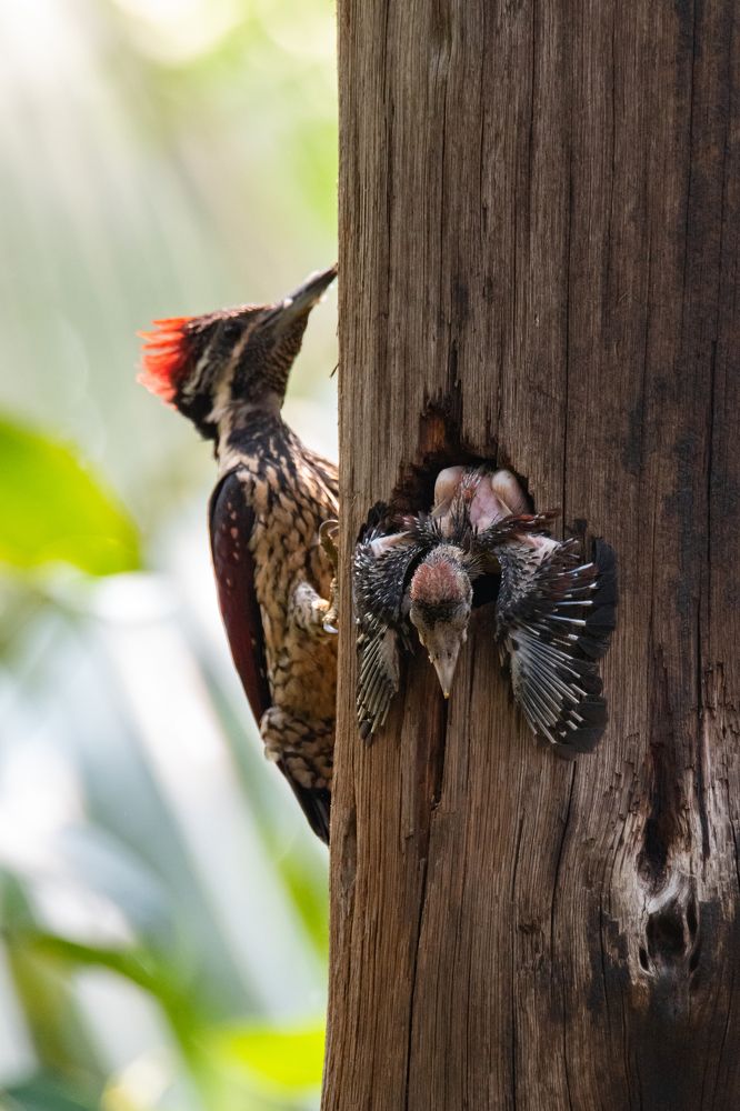 Photograph by Namina Wijetunga