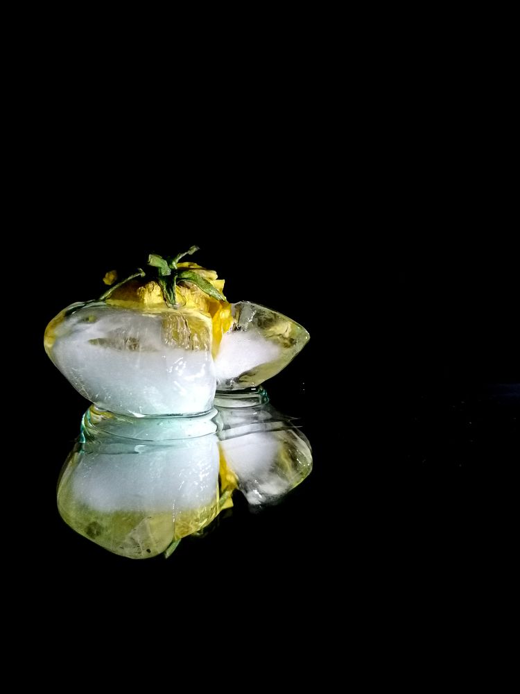 Photograph by Елена Швецова