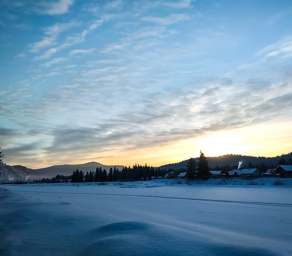 Photo #7446561