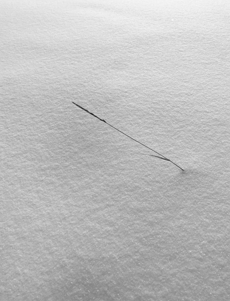 Photograph by Юлия Литвинова