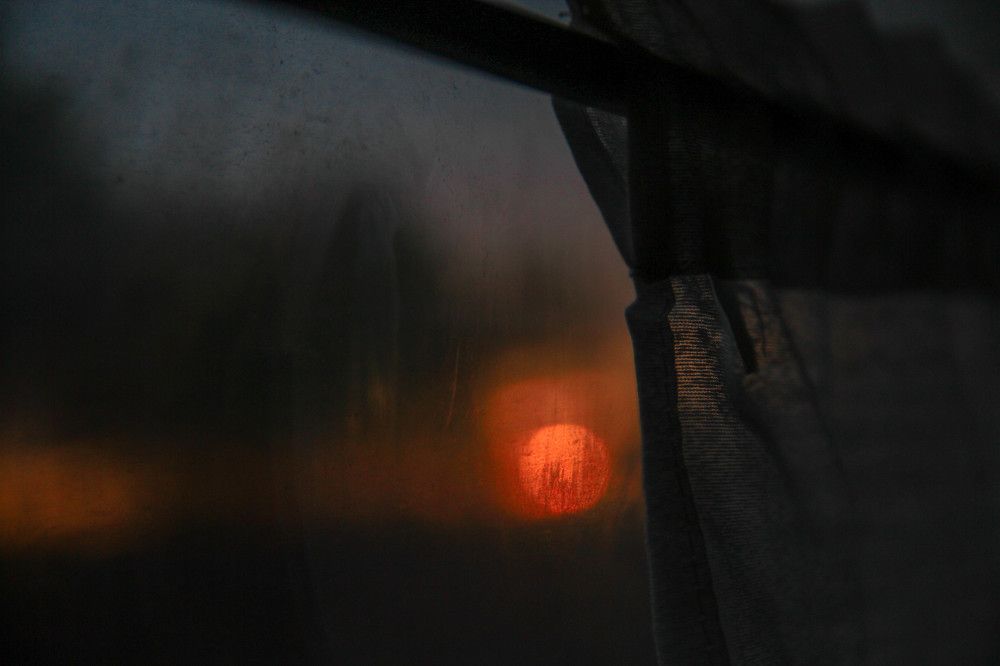 Photograph by Сергей Синельников