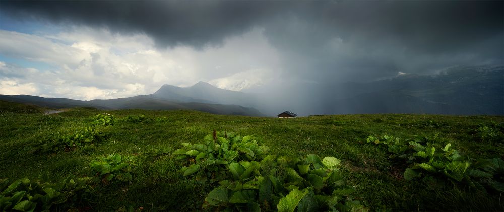 Photograph by Cédric Brion Clavicule-pics