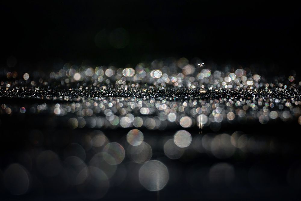 Фотография автора Надежда Муравьёва