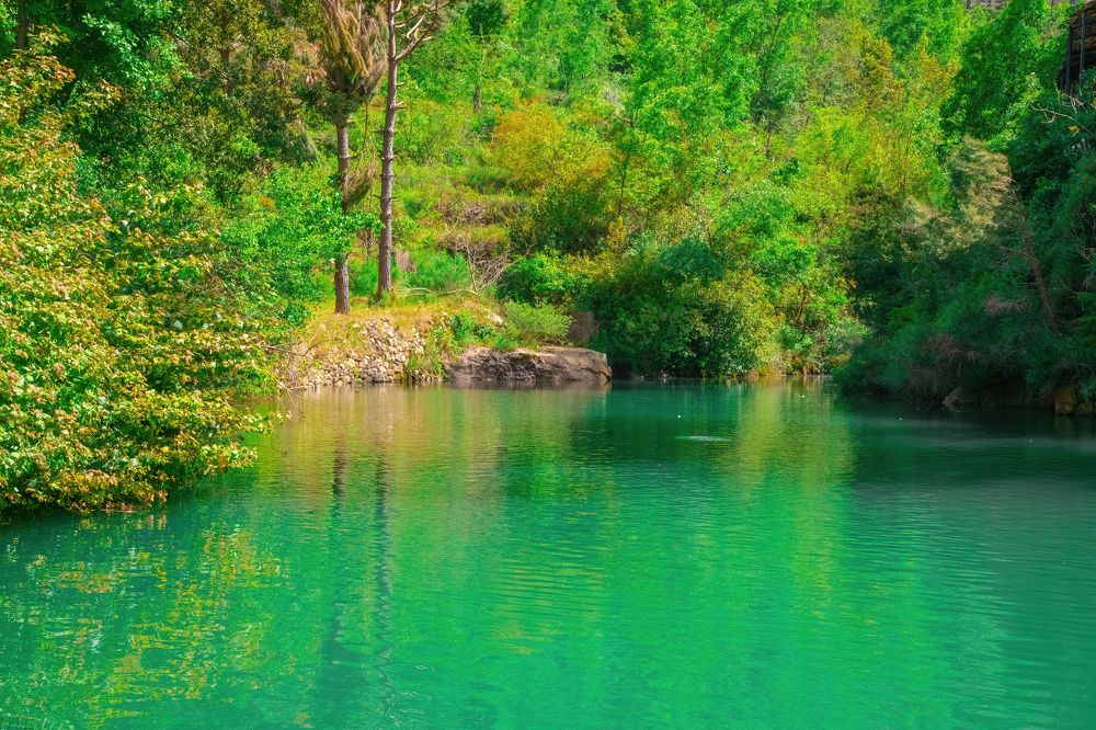 idyllic lake scenery