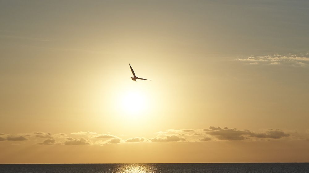 Photograph by Boris Nesh