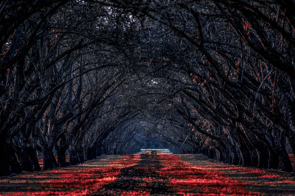 Photograph by Gladys Barros