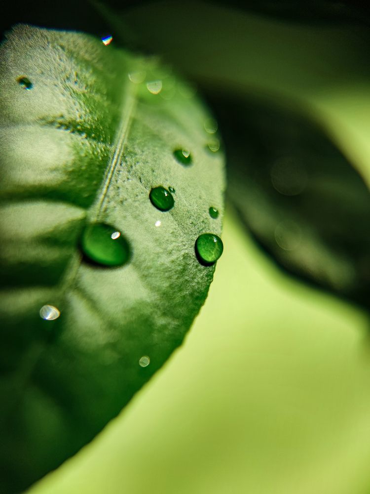 Photograph by Olga Royanova