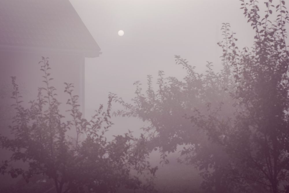 Photograph by Наталья Безмельницына