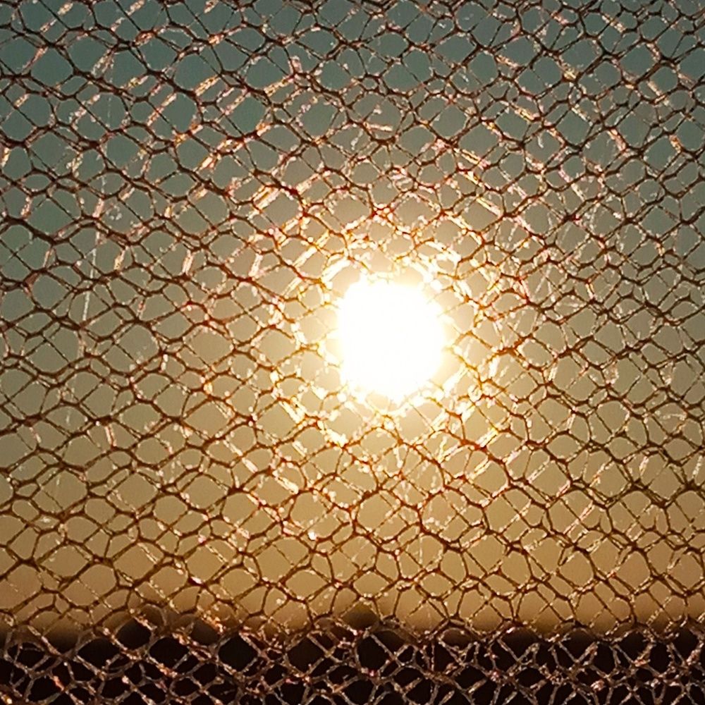 Photograph by НИНА АВЕРЬЯНОВА