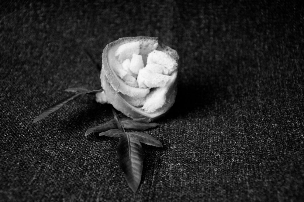 Photograph by Татьяна Воронцова