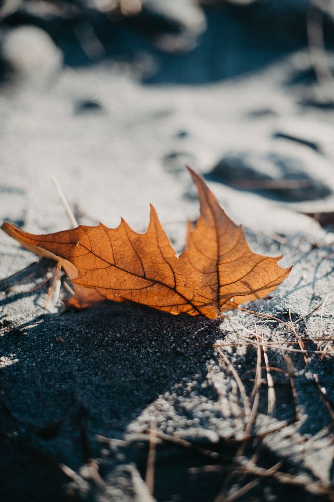 Photograph by Жанна Думинская