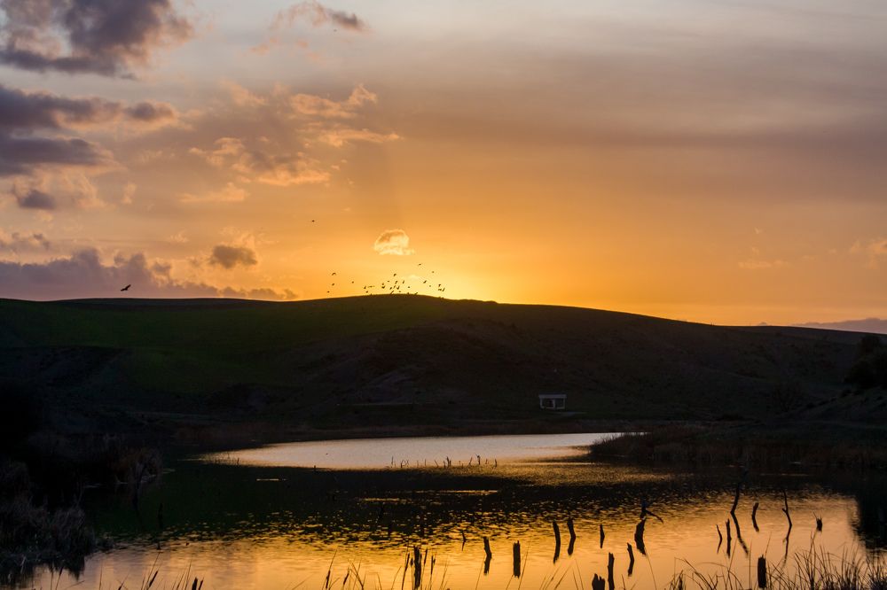 Photograph by Ayoub Kebbour