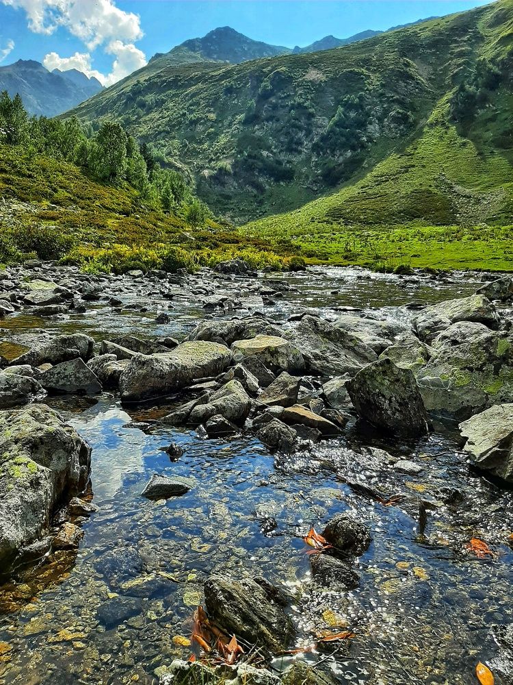 Photograph by Олеся Янова