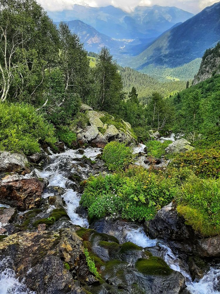 Photograph by Олеся Янова