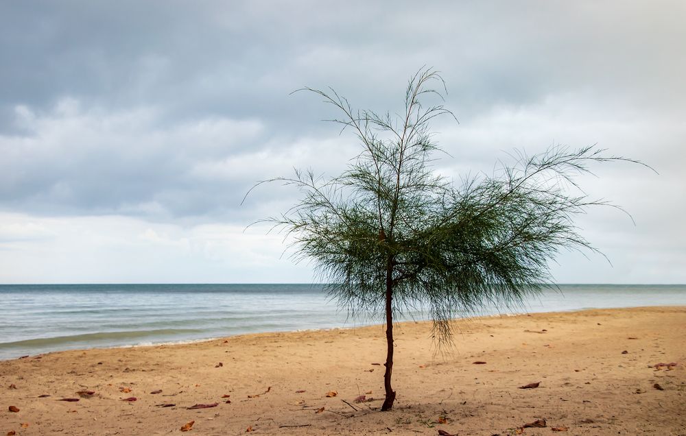 Photograph by Evgeniia Iakimenko